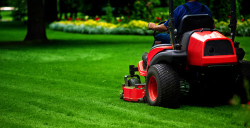 Lawn and Yard Maintenance in West Michigan