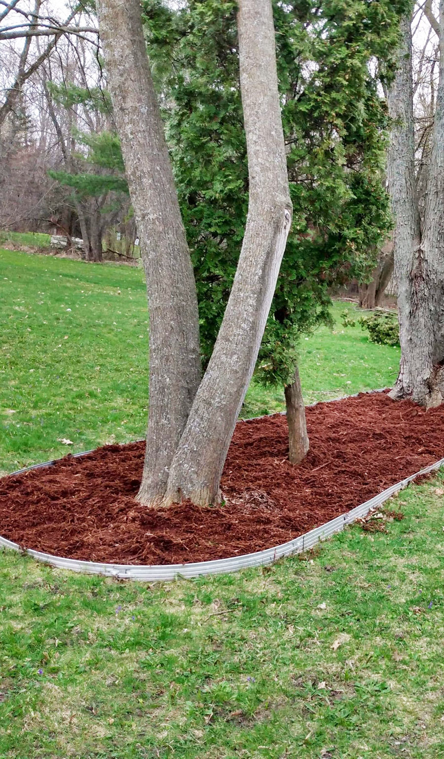 Complete Landscaping Services in West Michigan